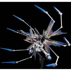 (PREMIUM-BANDAI) GUNDAM - RG 1/144 STRIKE FREEDOM GUNDAM [TITANIUM FINISH]